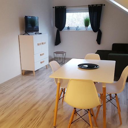 Apartamenty - Pod Wierzbami Dwikozy Zimmer foto